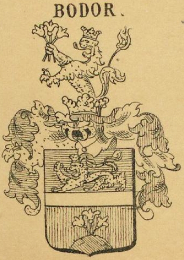 Bodor Coat of Arms / Family Crest 0