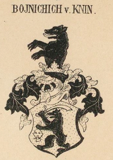 Bojnichich Coat of Arms / Family Crest 0