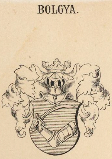 Bolgya Coat of Arms / Family Crest 0