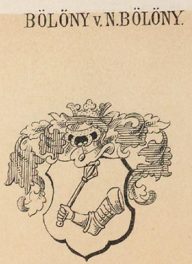 Bolony Coat of Arms / Family Crest 0