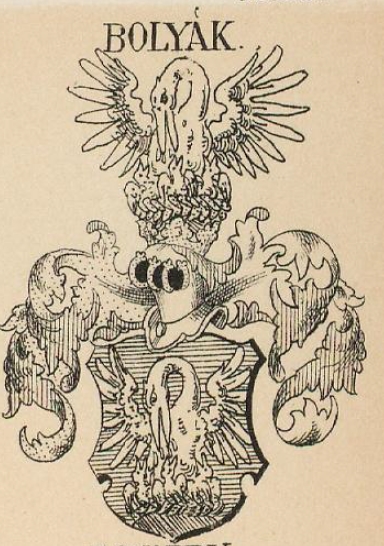 Bolyak Coat of Arms / Family Crest 0