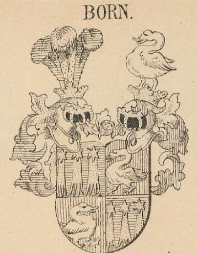 Born Coat of Arms / Family Crest 2