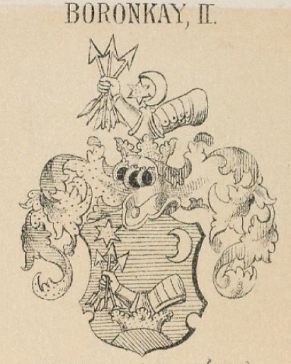 Boronkay Coat of Arms / Family Crest 0