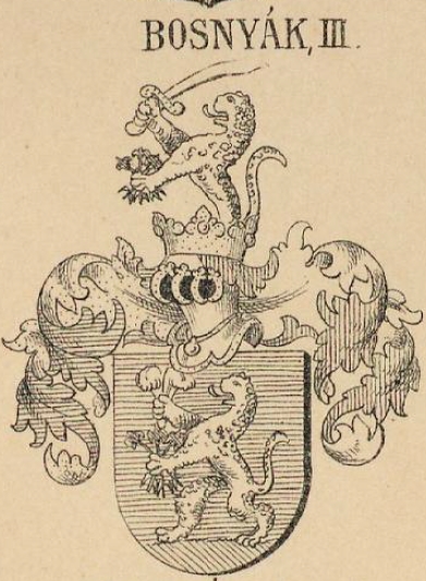 Bosnyak Coat of Arms / Family Crest 0