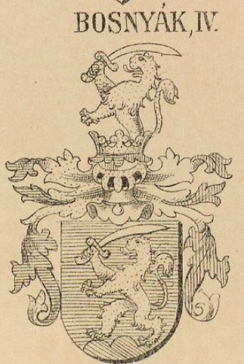 Bosnyak Coat of Arms / Family Crest 1