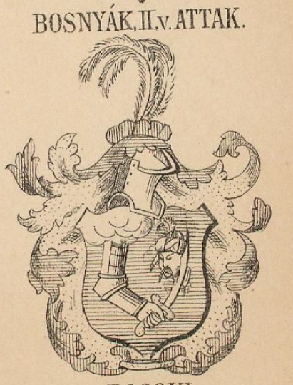 Bosnyak Coat of Arms / Family Crest 2