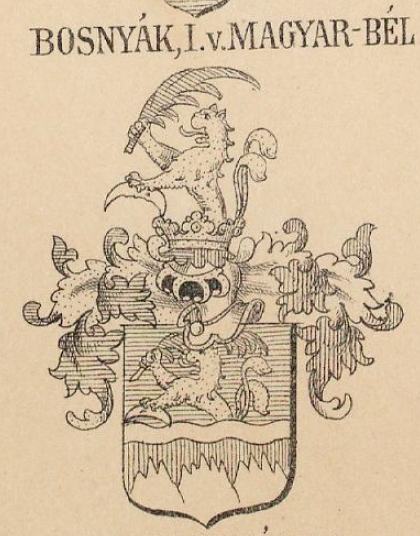 Bosnyak Coat of Arms / Family Crest 3