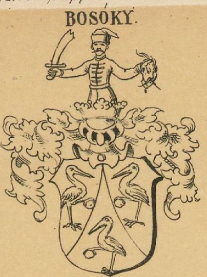 Bosoky Coat of Arms / Family Crest 0