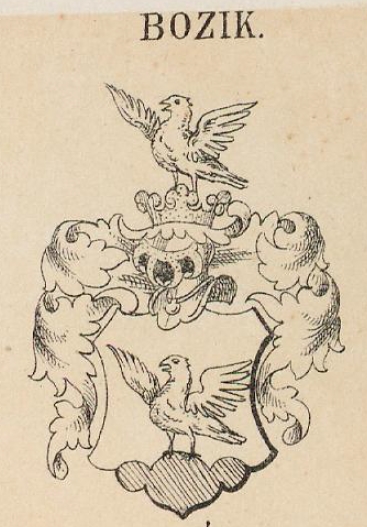 Bozik Coat of Arms / Family Crest 0