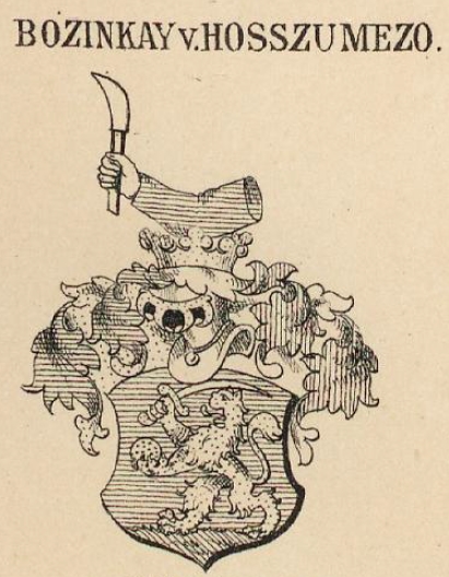 Bozinkay Coat of Arms / Family Crest 1