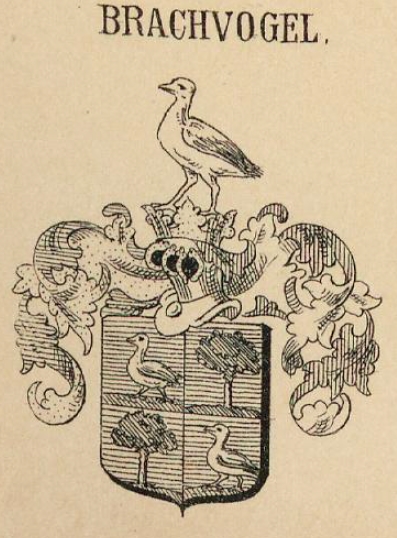 Brachvogel Coat of Arms / Family Crest 0