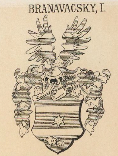 Branavacsky Coat of Arms / Family Crest 0