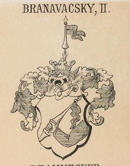 Branavacsky Coat of Arms / Family Crest 1