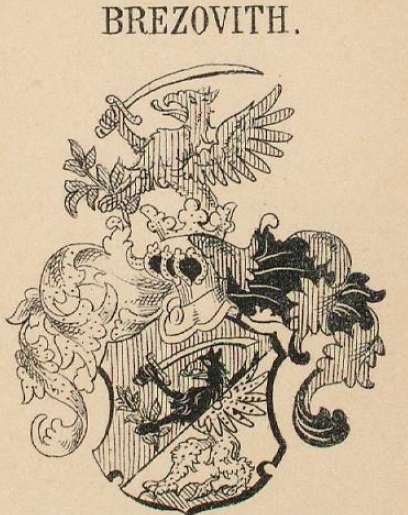 Brezovith Coat of Arms / Family Crest 0