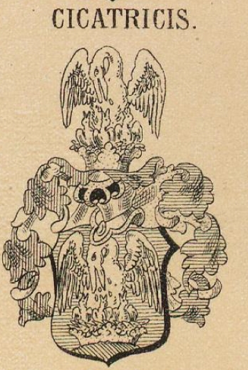 Cicatricis Coat of Arms / Family Crest 0