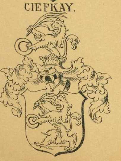 Ciefkay Coat of Arms / Family Crest 0