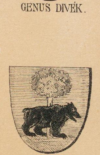 Divek Coat of Arms / Family Crest 0
