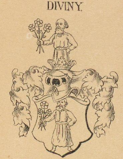 Diviny Coat of Arms / Family Crest 0