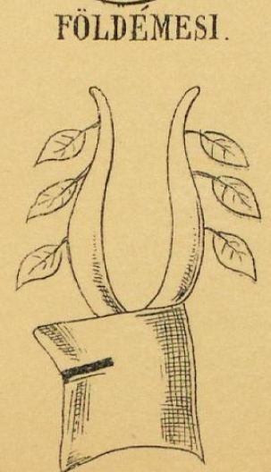 Foldemesi Coat of Arms / Family Crest 0