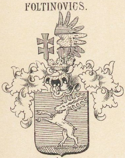 Foltinovics Coat of Arms / Family Crest 0