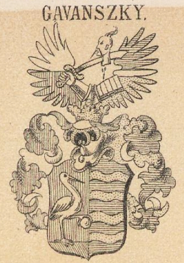 Gavanszky Coat of Arms / Family Crest 0