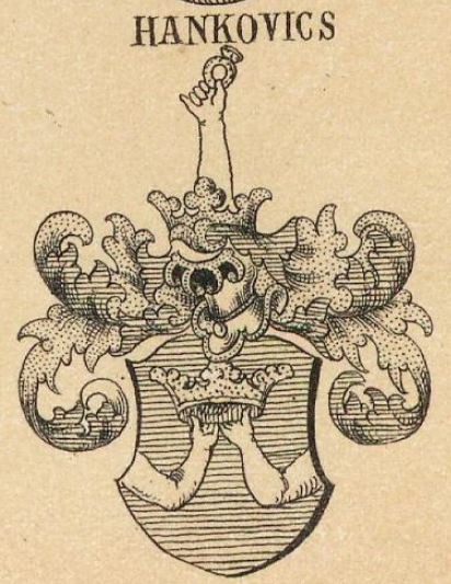 Hankovics Coat of Arms / Family Crest 0