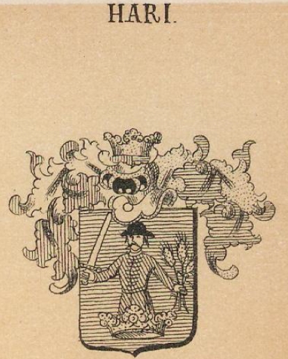 Hari Coat of Arms / Family Crest 0