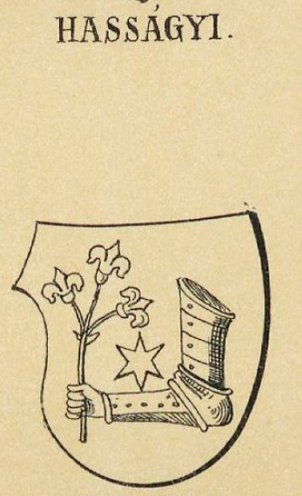 Hassagyi Coat of Arms / Family Crest 0