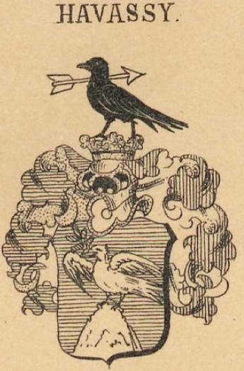 Havassy Coat of Arms / Family Crest 0