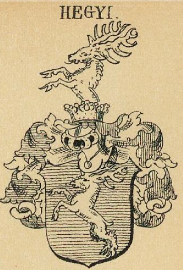 Hegyi Coat of Arms / Family Crest 0