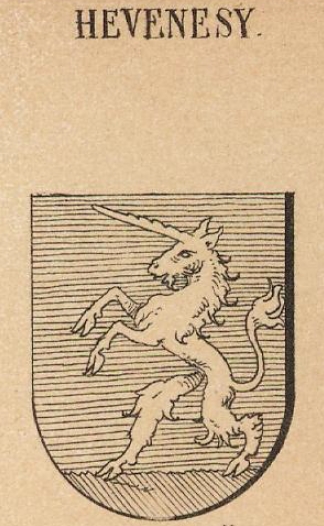 Hevenesy Coat of Arms / Family Crest 0