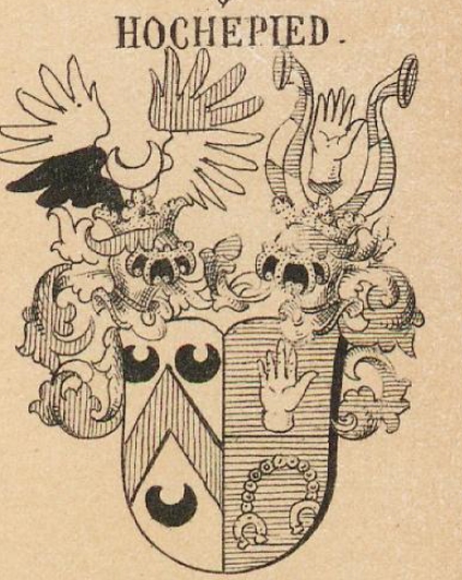 Hochepied Coat of Arms / Family Crest 0
