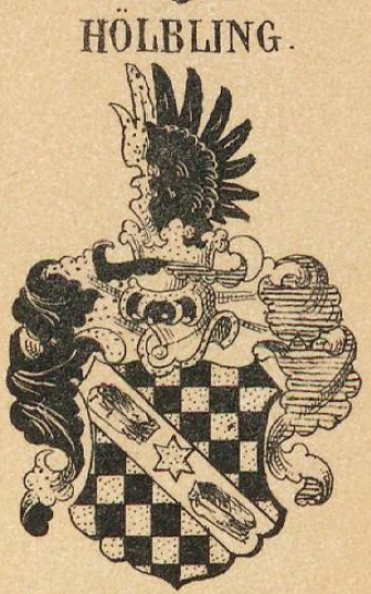 Holbing Coat of Arms / Family Crest 0