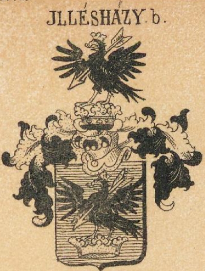 Jlleshazy Coat of Arms / Family Crest 1