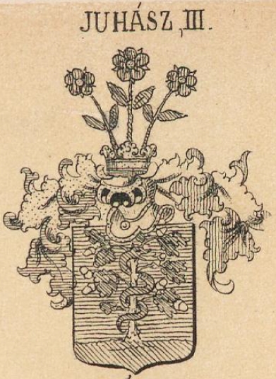 Juhasz Coat of Arms / Family Crest 2