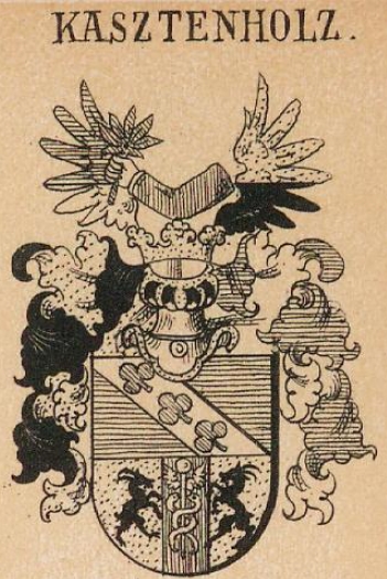 Kasztenholz Coat of Arms / Family Crest 0