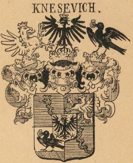 Knesevich Coat of Arms / Family Crest 0