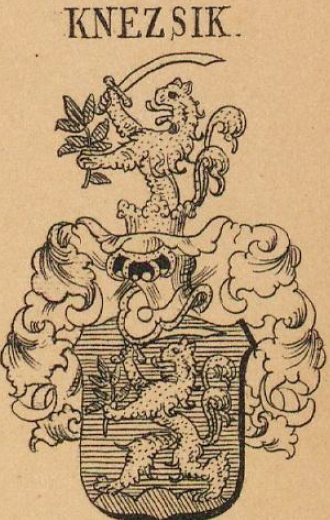 Knezsik Coat of Arms / Family Crest 0