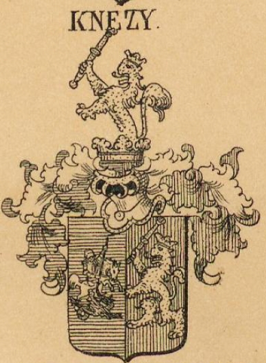 Knezy Coat of Arms / Family Crest 0