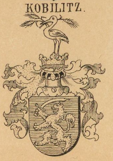 Kolbilitz Coat of Arms / Family Crest 0
