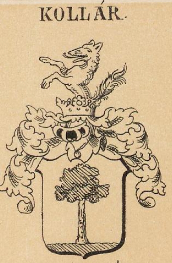 Kollar Coat of Arms / Family Crest 1