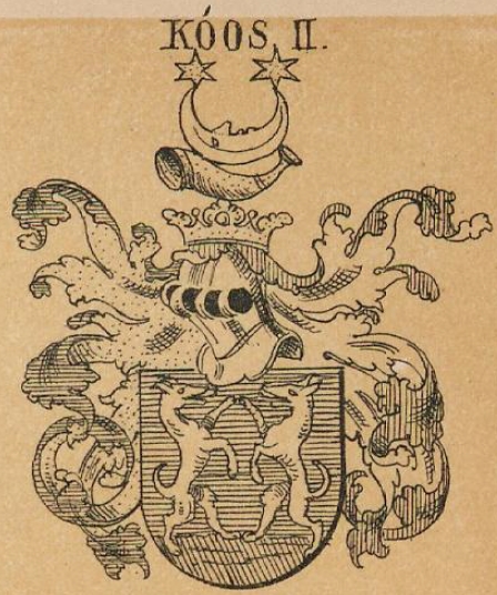 Koos Coat of Arms / Family Crest 1