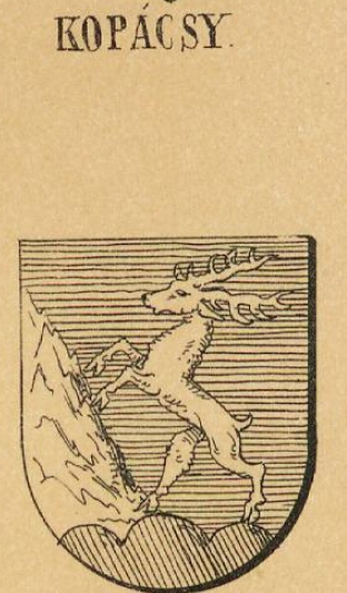 Kopacsy Coat of Arms / Family Crest 0