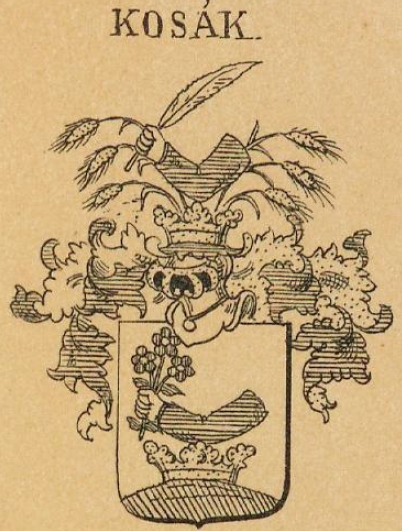 Kosak Coat of Arms / Family Crest 1