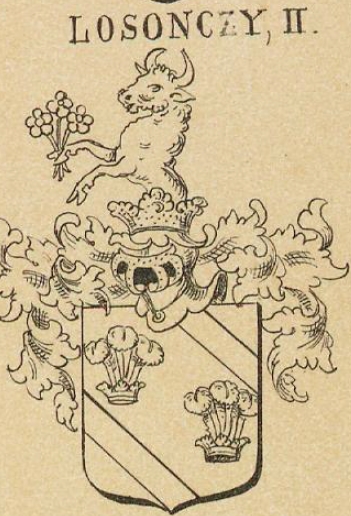 Losonczy Coat of Arms / Family Crest 5