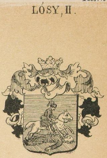 Losy Coat of Arms / Family Crest 1