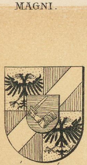 Magni Coat of Arms / Family Crest 3