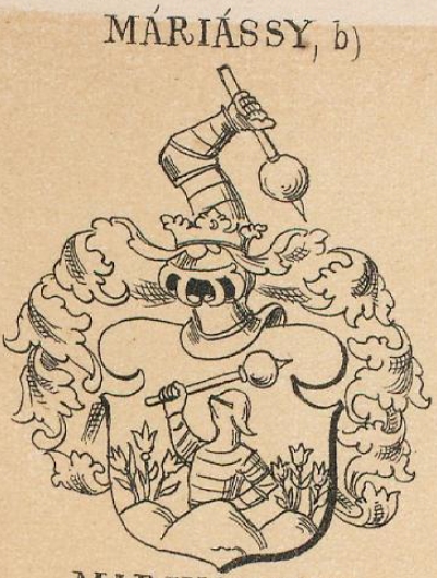 Mariassy Coat of Arms / Family Crest 1