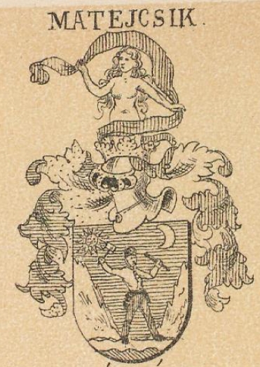 Matejcsik Coat of Arms / Family Crest 0