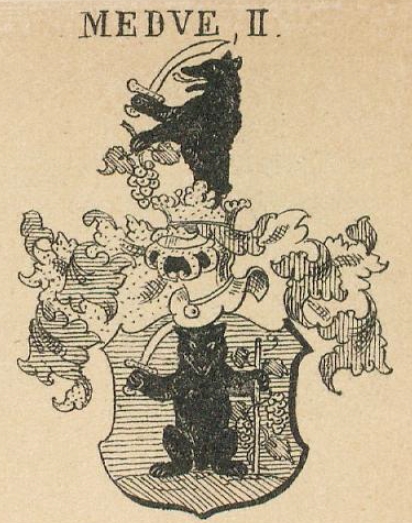 Medve Coat of Arms / Family Crest 1